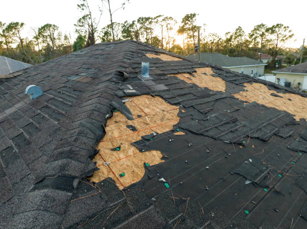 Professional Roofing in Fox Farm College, WY